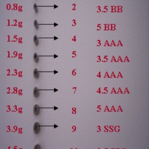Spare weights for multiweight float adaptor